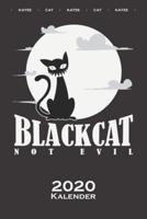 Schwarze Katze Im Mondlicht "Black Cat" Kalender 2020