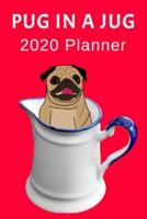 Pug In A Jug