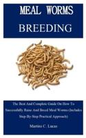 Meal Worm Breeding