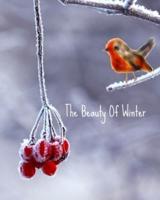 The Beauty of Winter