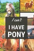 I Can't I Have Pony