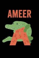 Ameer