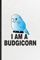 I Am a Budgicorn