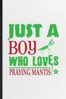 Just a Boy Who Loves Praying Mantis