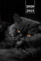 Persian Cat Kitten Kitty Tomcat Week Planner Organizer 2020 / 2021 - Very Black
