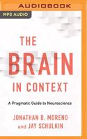 The Brain in Context