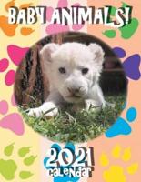 Baby Animals! 2021 Calendar