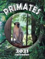 Primates 2021 Calendar