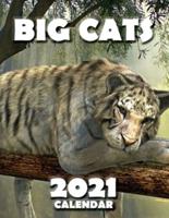 Big Cats 2021 Calendar