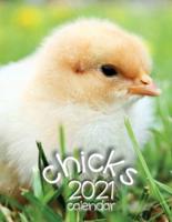 Chicks 2021 Calendar