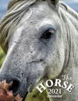 The Horse 2021 Calendar