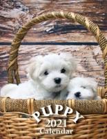 Puppy 2021 Calendar