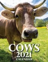 Cows 2021 Calendar