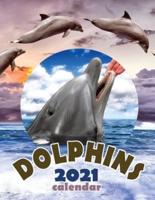 Dolphins 2021 Calendar