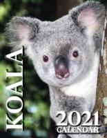 Koala 2021 Calendar