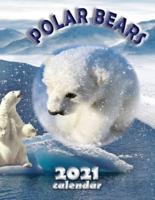 Polar Bears 2021 Calendar