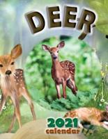 Deer 2021 Calendar