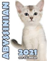Abyssinian 2021 Cat Calendar