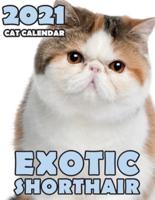Exotic Shorthair 2021 Cat Calendar