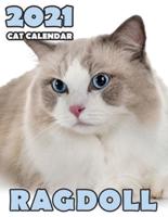 Ragdoll 2021 Cat Calendar