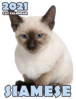 Siamese Cat 2021 Calendar