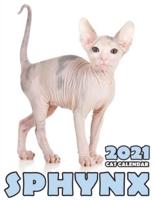 Sphynx 2021 Cat Calendar