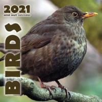 Birds 2021 Mini Wall Calendar