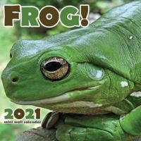 Frog! 2021 Mini Wall Calendar