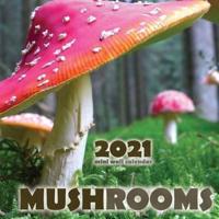 Mushrooms 2021 Mini Wall Calendar