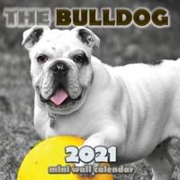 The Bulldog 2021 Mini Wall Calendar