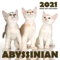 Abyssinian 2021 Mini Cat Calendar