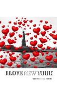 I love New York  statue of liberty  Valentine's edition red   hearts creative blank journal