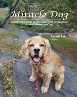 Miracle Dog