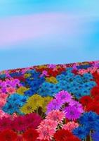Mindbook: Oh, my bottle flower field