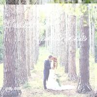 Wedding Guestbook: Tree themed Wedding Guest Book: Beautiful Design - Guest Book for Memories, Messages Book, Advice, Events and More