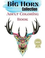 BIG HORN Collection Adult Coloring Book  : Nice Art Design in Animals with Horns Theme for Color Therapy and Relaxation   Increasing positive emotions  8.5"x11"