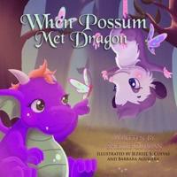 When Possum Met Dragon