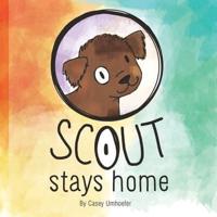 Scout Stays Home