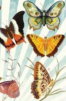 Colorful Butterflies Journal, Dot Grid