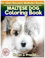 Maltese Dog Coloring Book for Adults