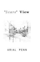 'Scare View'