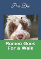 Romeo Goes For a Walk