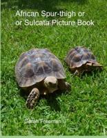African Spur-Thigh or Sulcata Tortoise Picture Book