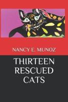 Thirteen Rescued Cats