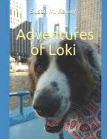Adventures of Loki