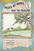 Rudy the Trickster
