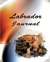 My Labrador Journal