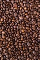 Blank Journal - Coffee Beans