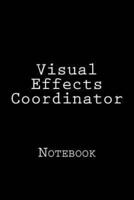 Visual Effects Coordinator