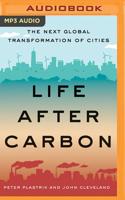 Life After Carbon